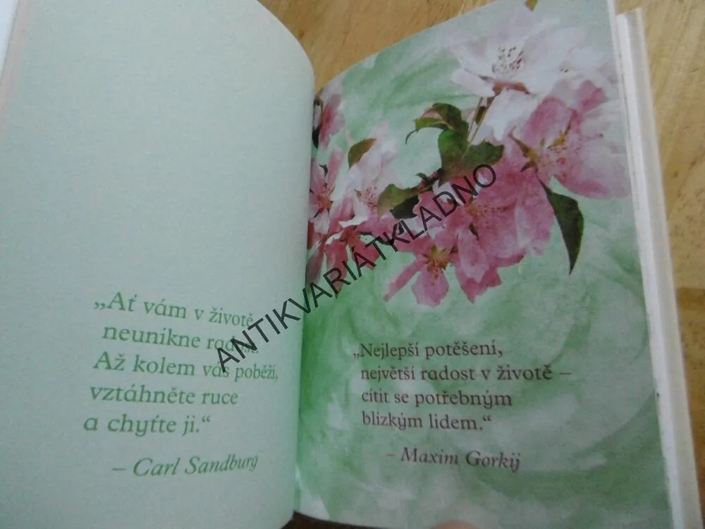 RADOST, **an