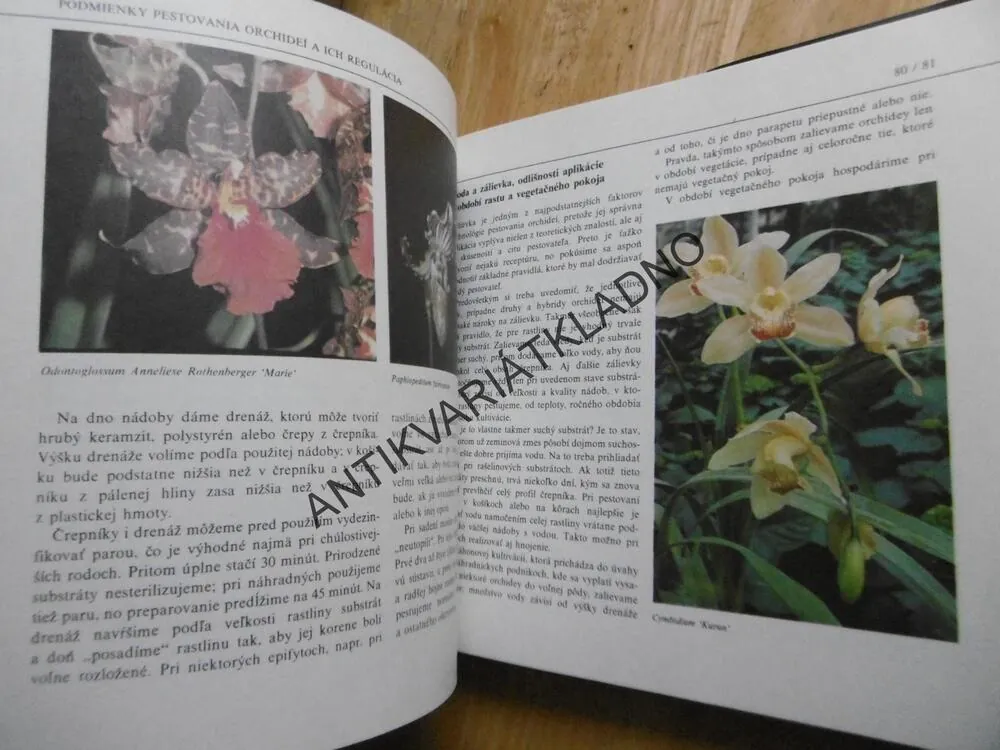 ORCHIDEY, J. ZÁKREJS, SLOVENSKY, **an