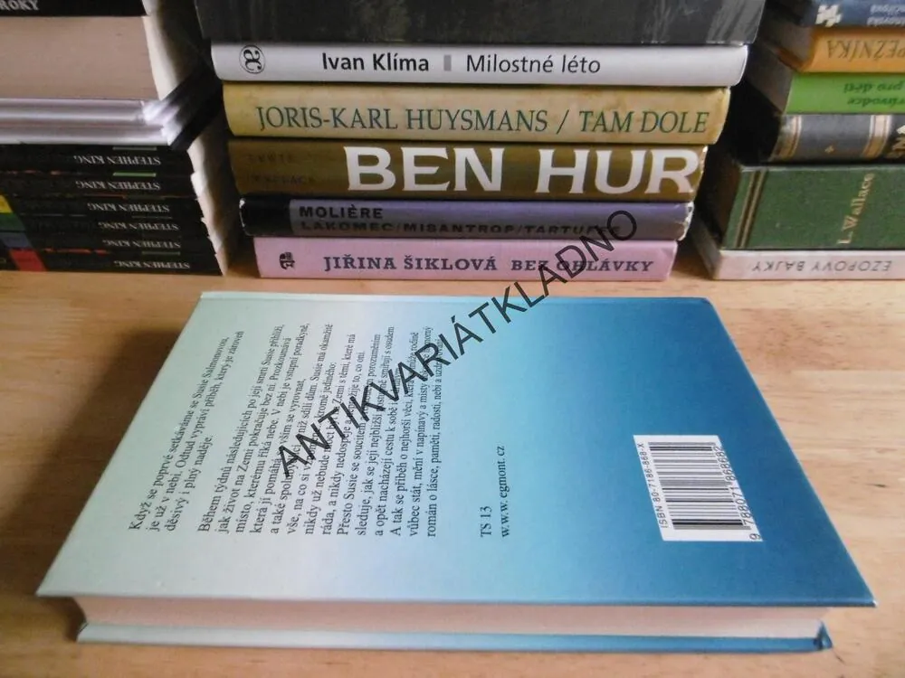 PEVNÉ POUTO, ALICE SEBOLDOVÁ, **an