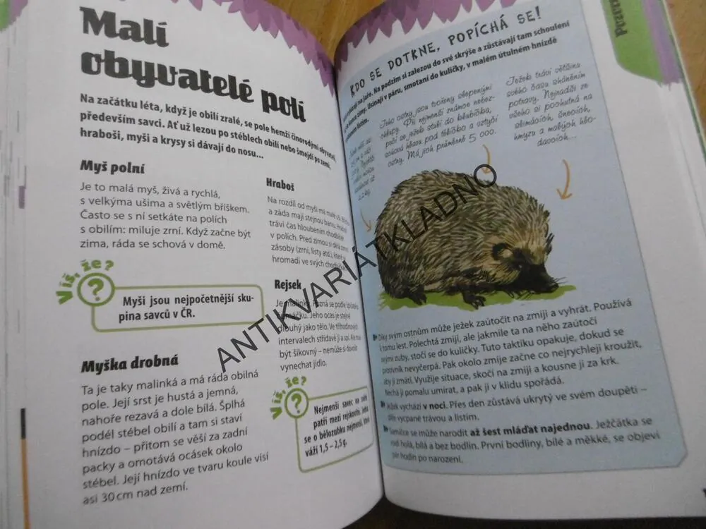 MALÝ TÁBORNÍK, VESELÝ PRŮVODCE PŘÍRODOU PRO DĚTI, **an