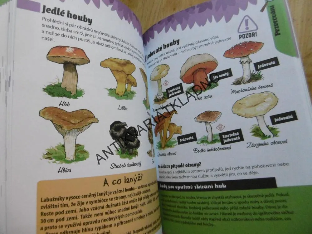 MALÝ TÁBORNÍK, VESELÝ PRŮVODCE PŘÍRODOU PRO DĚTI, **an