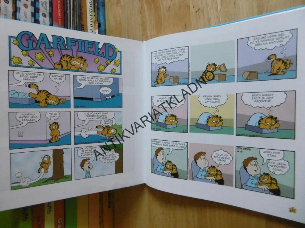GARFIELD BERE VŠE, JIM DAVIS, **an