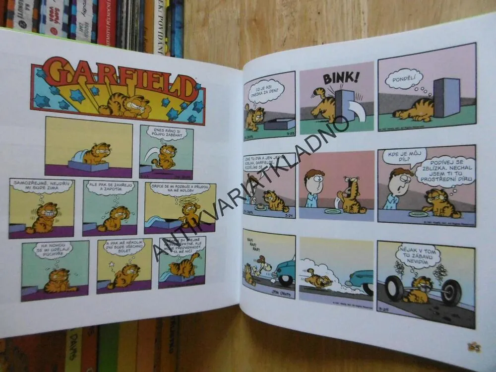GARFIELD V PLNÉ PARÁDĚ, JIM DAVIS, **an