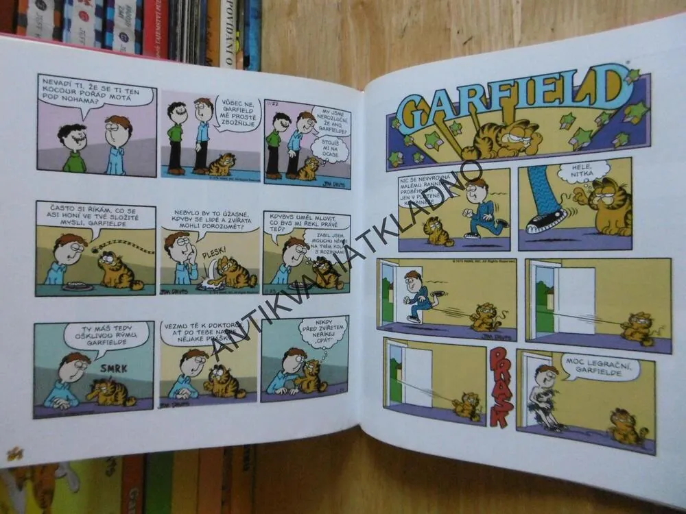 GARFIELD SE VYBARVUJE, JIM DAVIS, **an