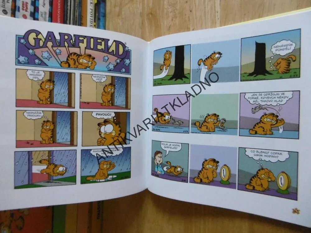 GARFIELD UŽÍVÁ ŽIVOTA, JIM DAVIS, **an