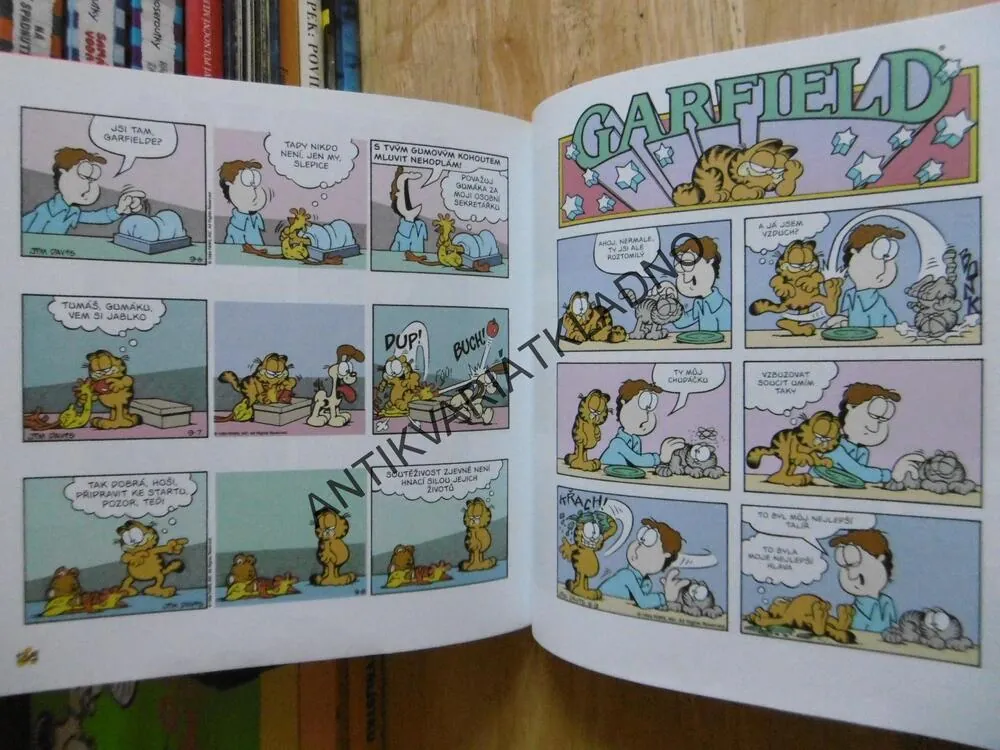GARFIELD O DVOU CHODECH, JIM DAVIS, **an