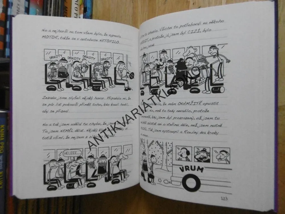 DENÍK MALÉHO POSEROUTKY 13., RADOSTI ZIMY, JEFF KINNEY, **an