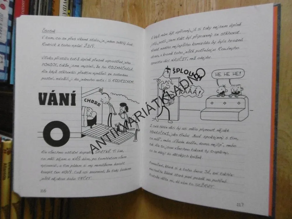 DENÍK MALÉHO POSEROUTKY 14., NA SPADNUTÍ, JEFF KINNEY, **an