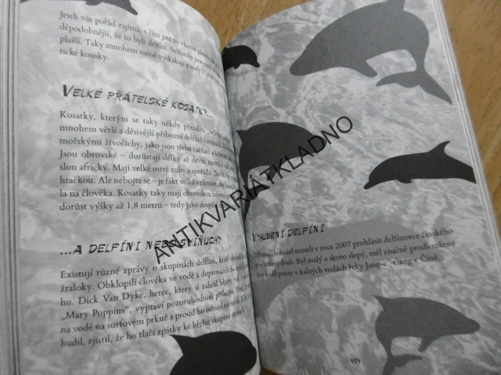 JAK ROZEZNAT HOLINKY OD HODINEK, TRACEY TURNEROVÁ, **an