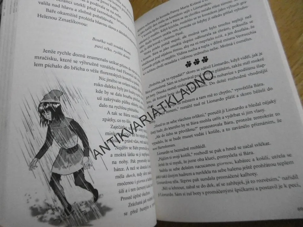 LEONARDO DA VINCI, ÚSMĚV MONY LISY, VERONIKA VÁLKOVÁ, **an