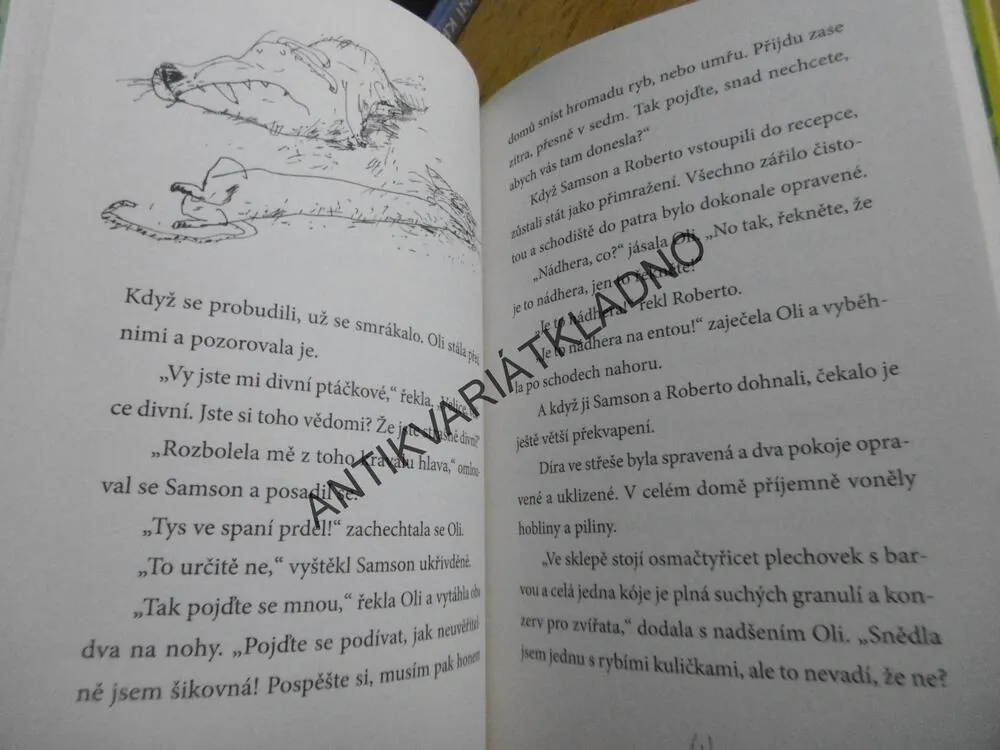 SAMSON A ROBERTO, DĚDICTVÍ PO STRÝČKOVI, INGVAR AMBJORNSEN, **an