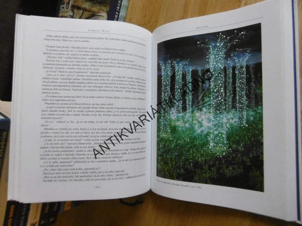 NATURIA, DOBRODRUŽSTVÍ NA PLANETĚ ZÁZRAKŮ, FORREST WALL, **an