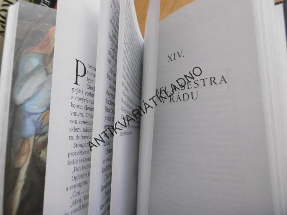 KAMENNÝ MOST, TOMÁŠ VOREL, **an