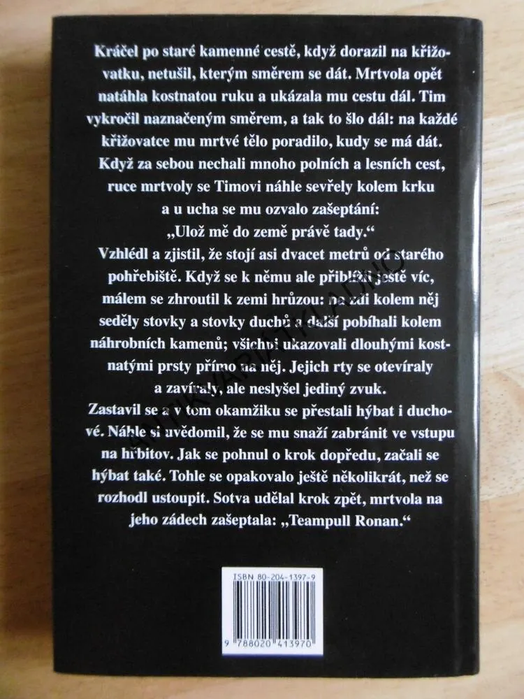 IRSKÉ DUCHAŘSKÉ HISTORKY, PATRICK BYRNE, **an
