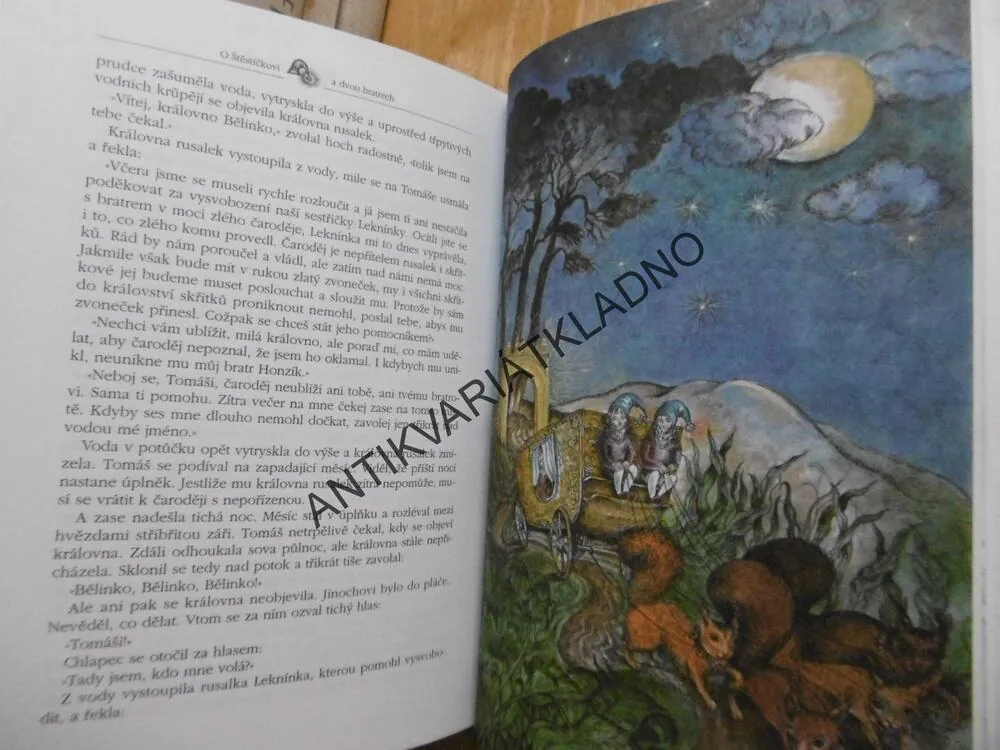 POHÁDKY O ŠTĚSTÍ, O VÍLÁCH, SKŘÍTCÍCH A DOBRÝCH BYTOSTECH, DANIELA JANÁKOVÁ, **an