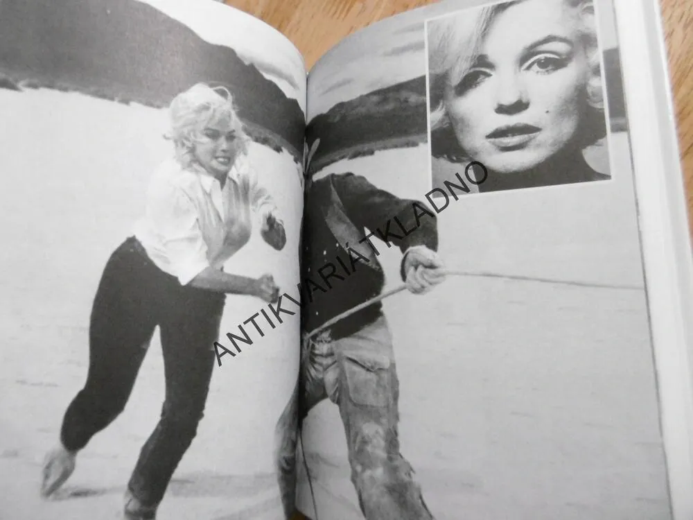 VŠICHNI MUŽI MARILYN MONROE, HEREČKA, FILM, J.E.WAYNEOVÁ