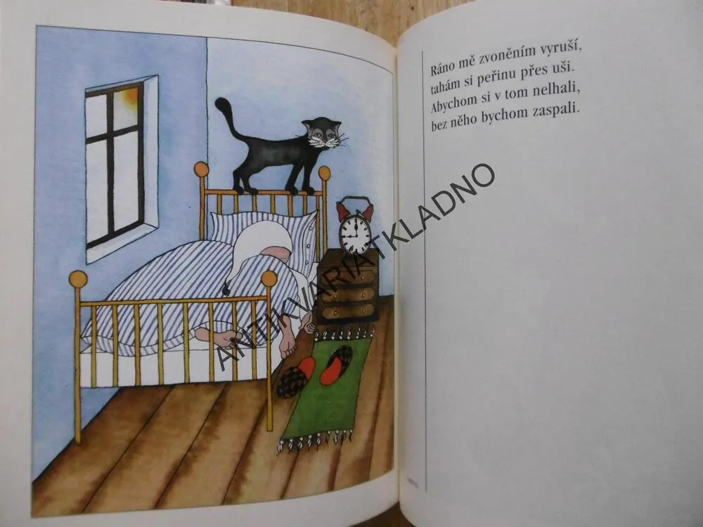 HÁDEJ, CO JE TO, ZDEŇKA ORTOVÁ, **an