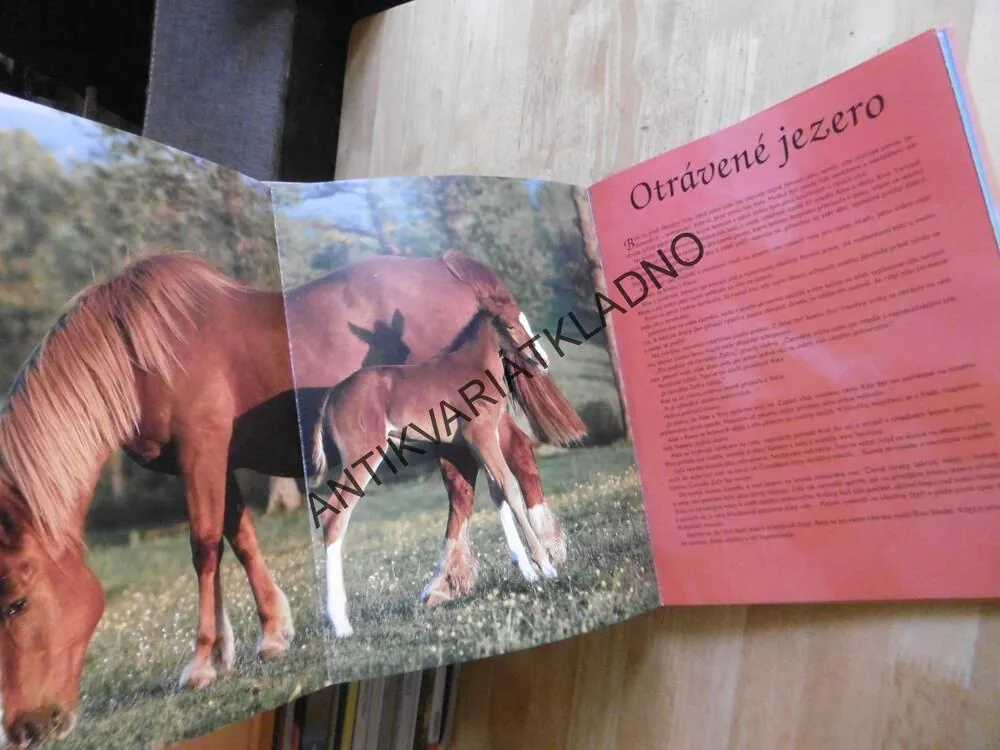 PŘÍBĚHY O KONÍCH, **an