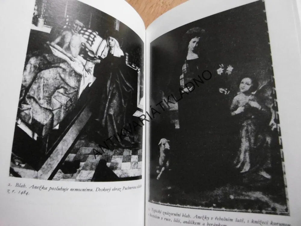 ÚCTA A PROCES SVATOŘEČENÍ ANEŽKY ČESKÉ, JAROSLAV NĚMEC, **an