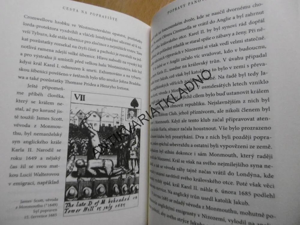 CESTA NA POPRAVIŠTĚ, VLADIMÍR ŠINDELÁŘ, **an