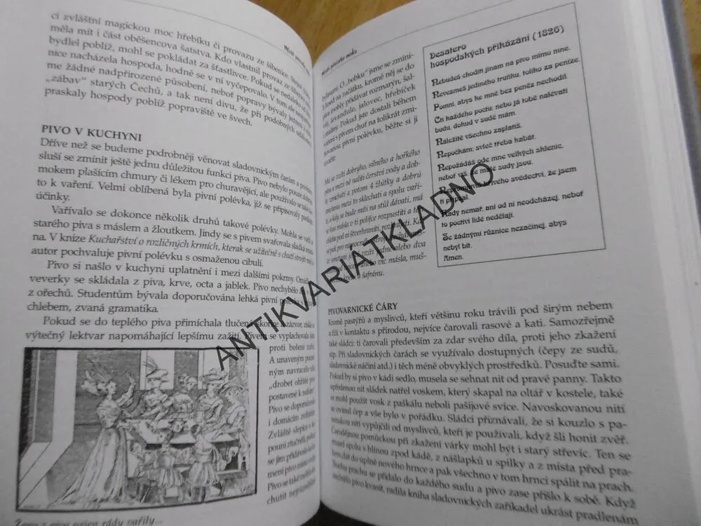 LABYRINTEM STŘEDOVĚKU, KOUZLA A RITUÁLY STARÝCH CECHŮ, ALEŠ ČESAL, ROMAN HERZINGER, **an