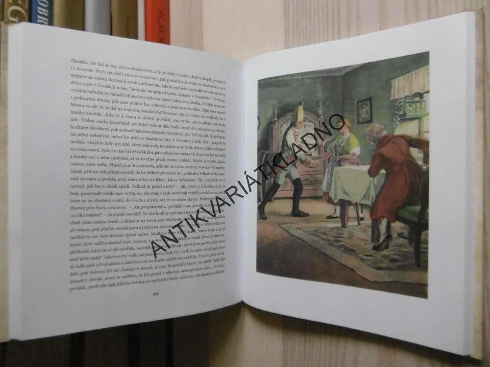 BABIČKA, BOŽENA NĚMCOVÁ, ADOLF KAŠPAR, 2011, **an