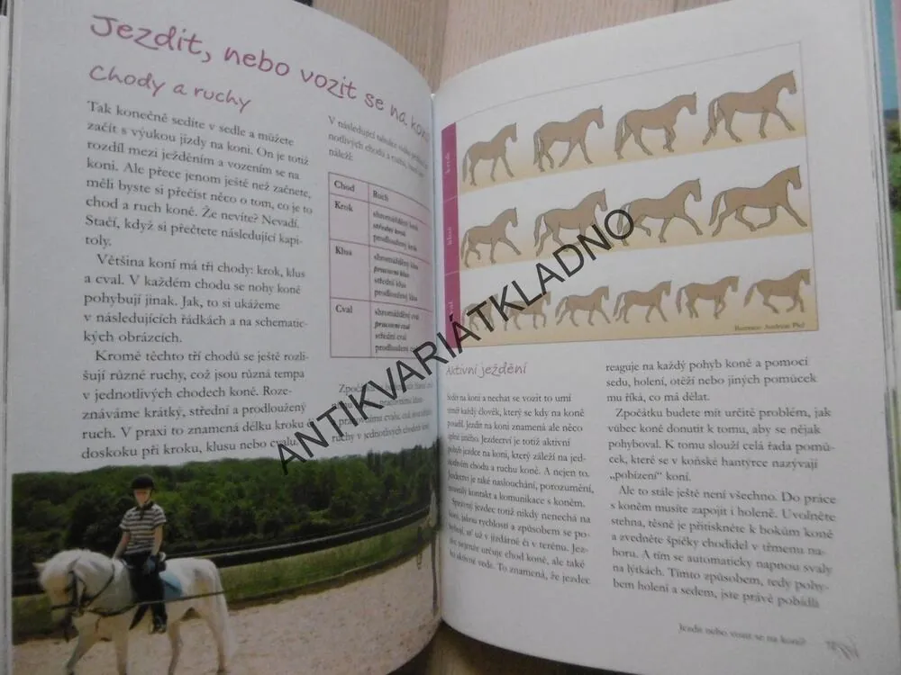JEZDECTVÍ, MŮJ KONÍČEK, SIBYLLE LUISE BINDER, **an