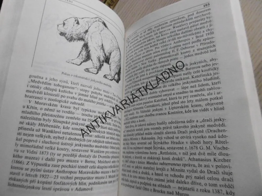 ZA JESKYNNÍM ČLOVĚKEM, KAREL SKLENÁŘ, **an