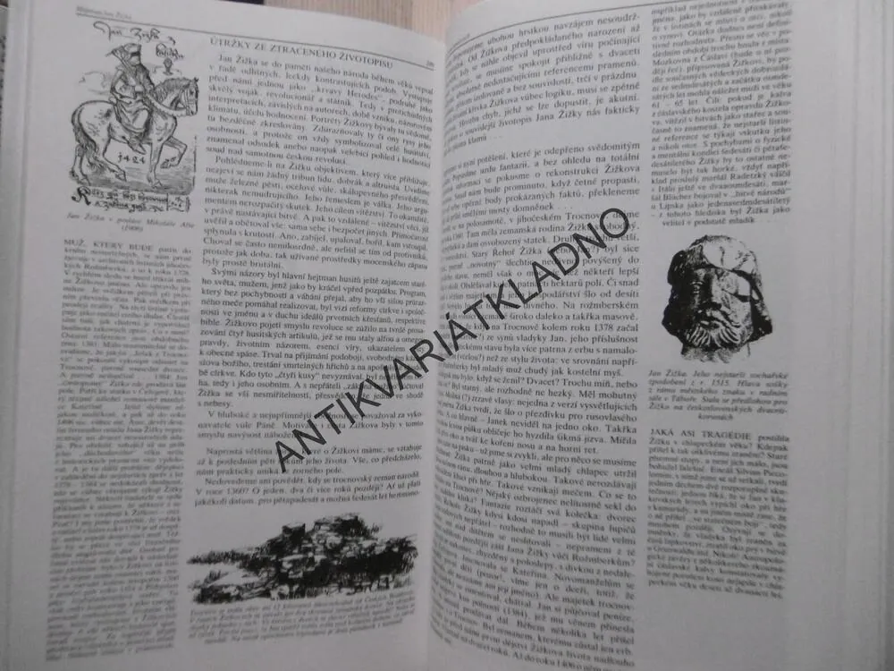 TOULKY ČESKOU MINULOSTÍ, 2., PETR HORA-HOŘEJŠ, **an