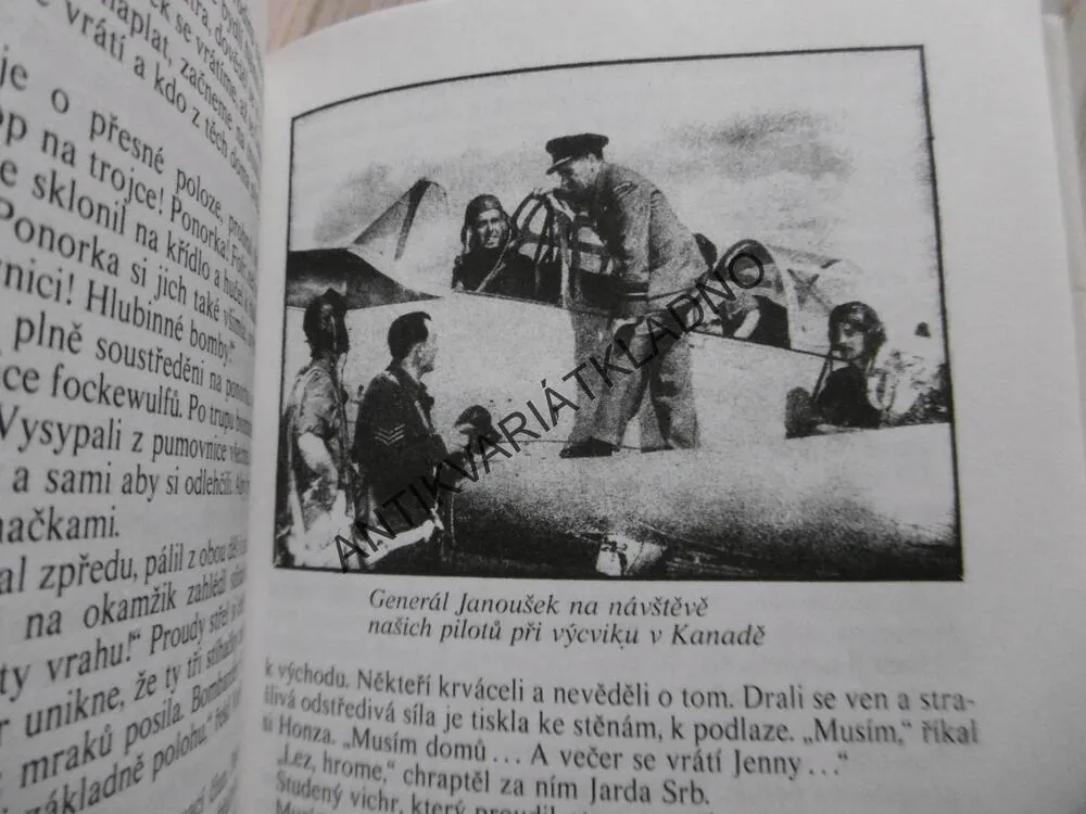 LETCI V BOUŘI, ILONA BORSKÁ, IVO ŠTUKA, **an
