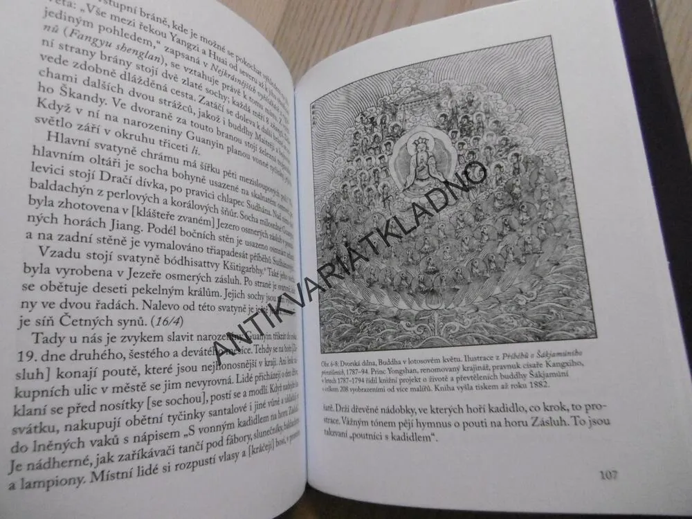 MĚSTO RADOVÁNEK NA DLOUHÉ ŘECE, LUCIE OLIVOVÁ, **an