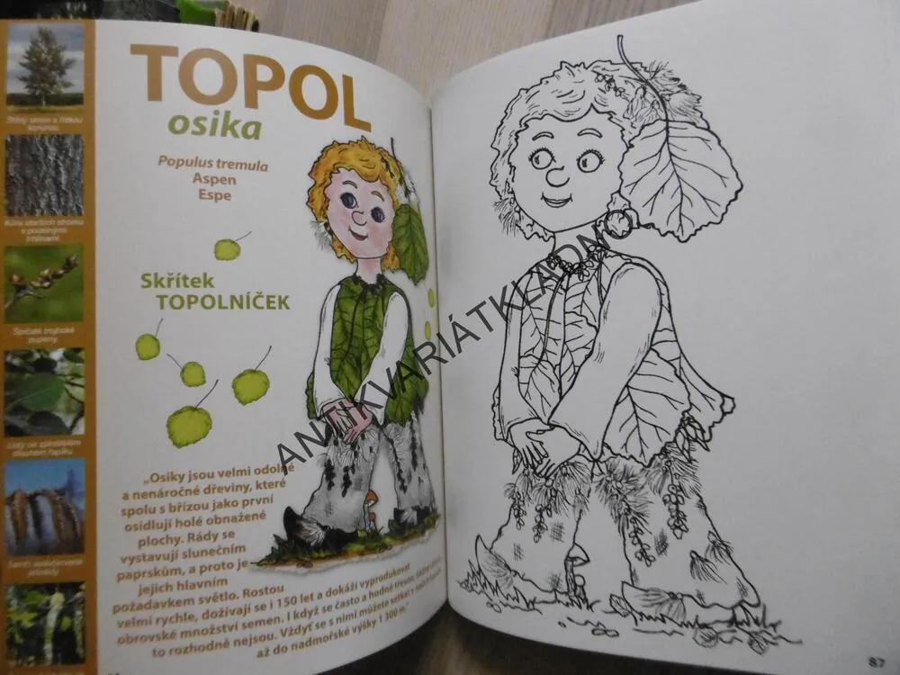 TAJEMSTVÍ ŠUMAVSKÝCH STROMŮ, KOLEKTIV AUTORŮ, **an