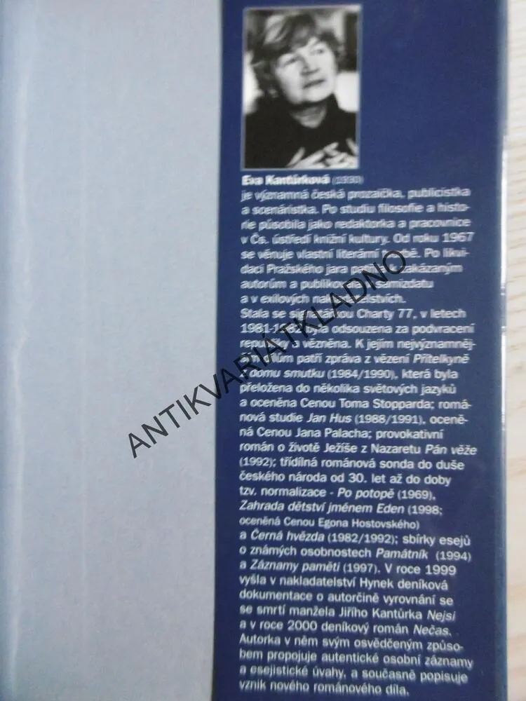 NEČASŮV ROMÁN, EVA KANTŮRKOVÁ, **an