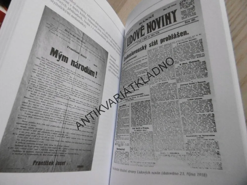 HITLER PŘED BRANAMI, VÁCLAV JUNEK, **an
