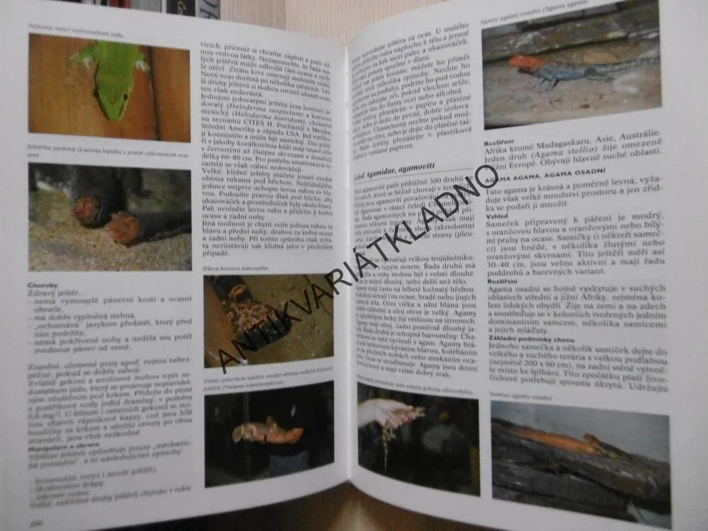ENCYKLOPEDIE TERARISTIKY, EUGÉNE BRUINS, **an