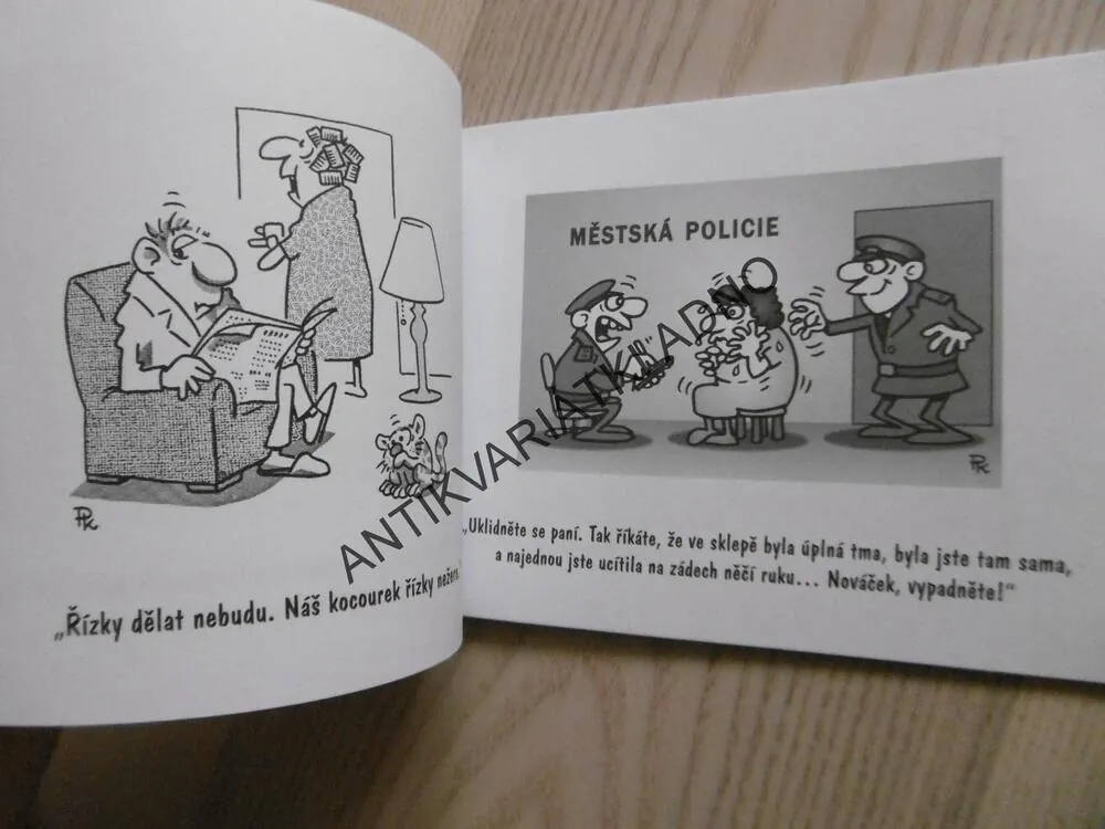 JAK PŘEŽÍT MANŽELSTVÍ, PAVEL KANTOREK