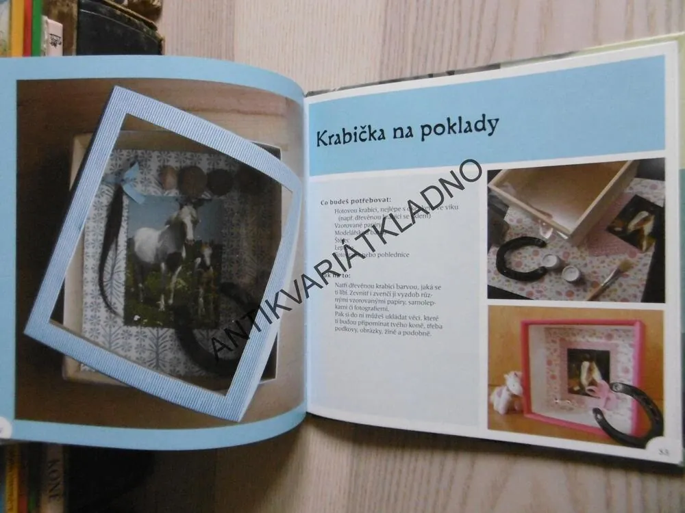 KNIHA PLNÁ NÁPADŮ, VENKE EIANE SAETHER, **an
