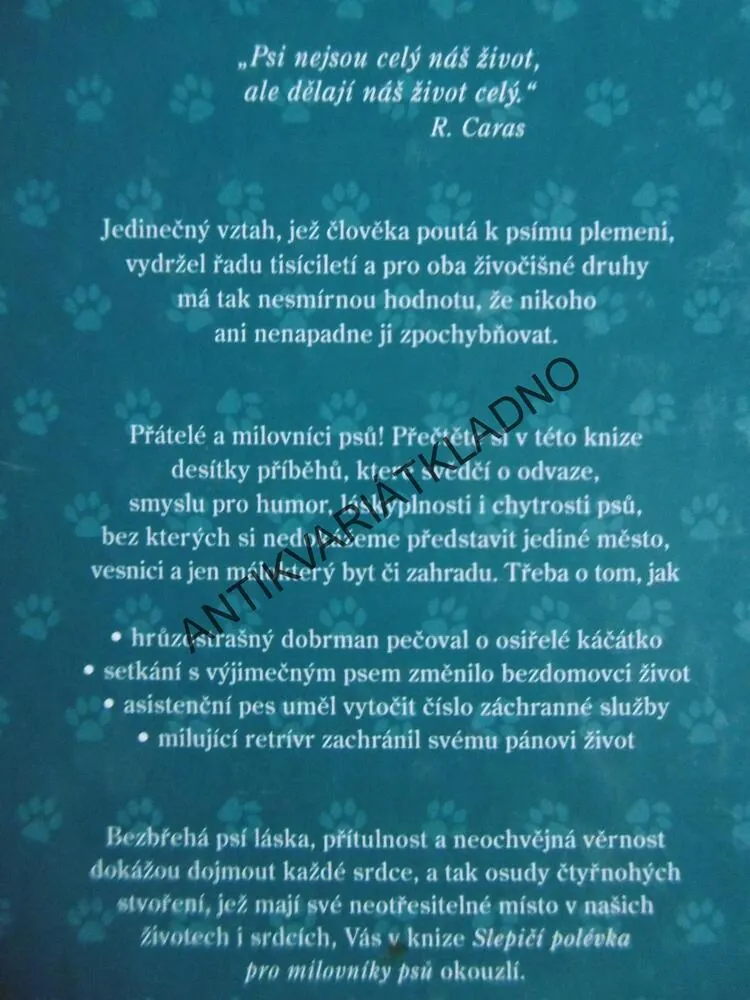 SLEPIČÍ POLÉVKA PRO MILOVNÍKY PSŮ, J. CANFIELD A KOLEKTIV, **an