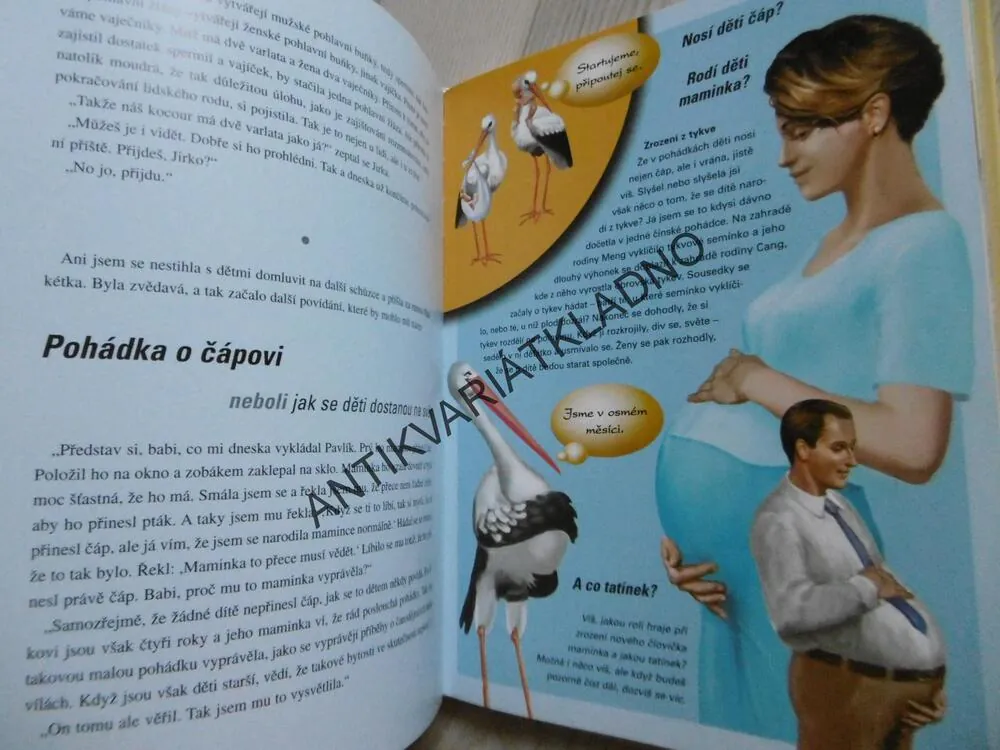 POHLAVNÍ ŽIVOT NEBOLI ODPOVĚDI NA OTÁZKY, KTERÉ SI KLADEŠ, JAROSLAVA PONDĚLÍČKOVÁ-MAŠLOVÁ, **an