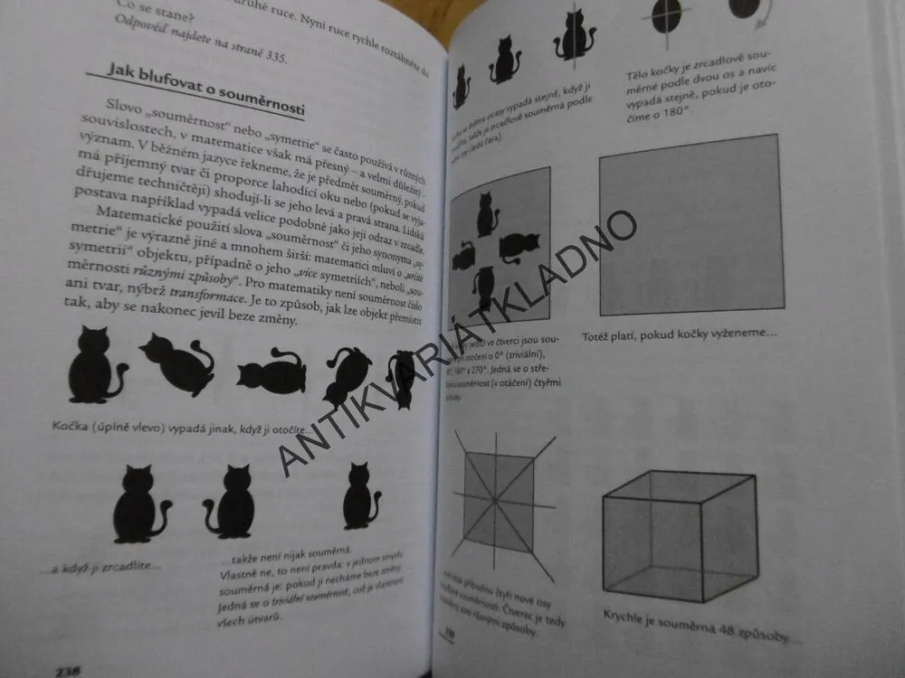 TRUHLICE MATEMATICKÝCH POKLADŮ PROFESORA STEWARTA, STEWART