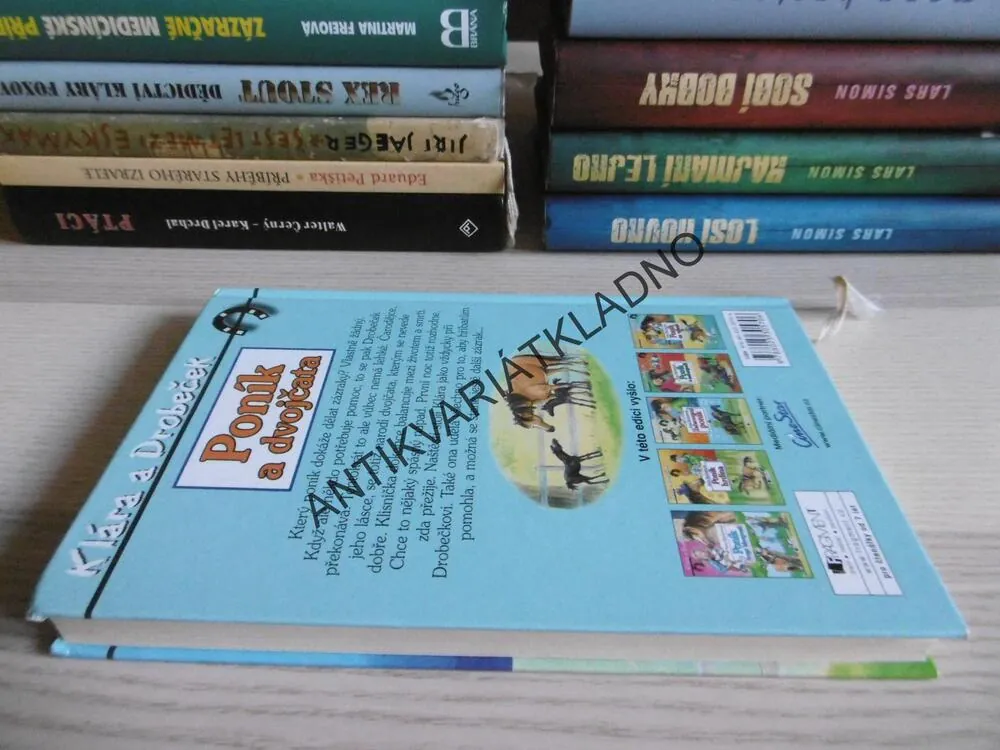 PONÍK A DVOJČATA, KLÁRA A DROBEČEK, ANNE BACHNEROVÁ, **an