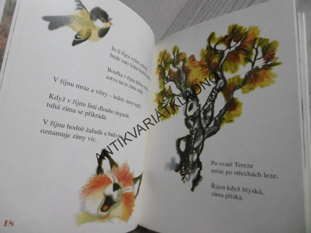 PODZIMNÍ ŘÍKADLA, JIŘÍ TRNKA, **an