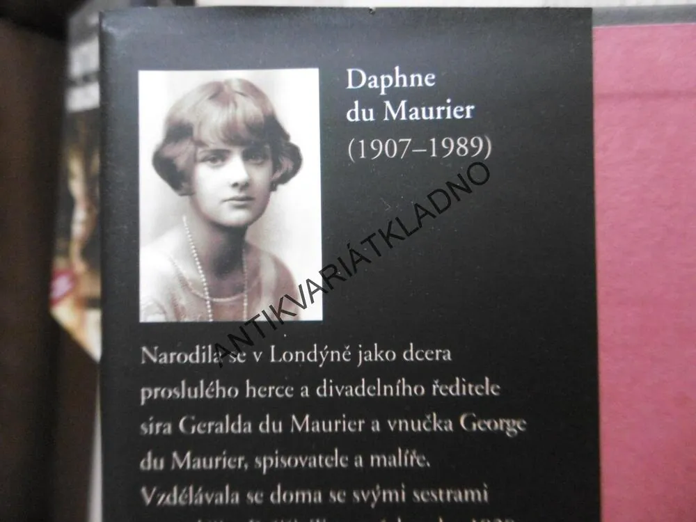 DŮM NA POBŘEŽÍ, DAPHNE DU MAURIER, **an