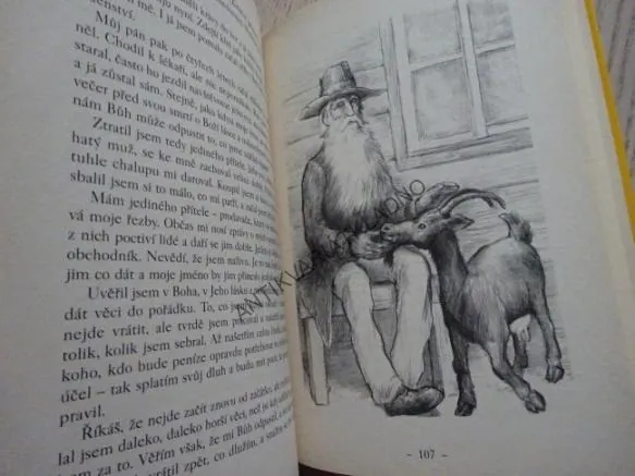 POKLADY POD SNĚHEM, PATRICIA ST. JOHN., **an