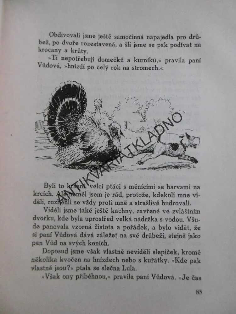 KRASAVEC BROK, MARSCHAL SAUNDERSOVÁ, SALAČ, **an