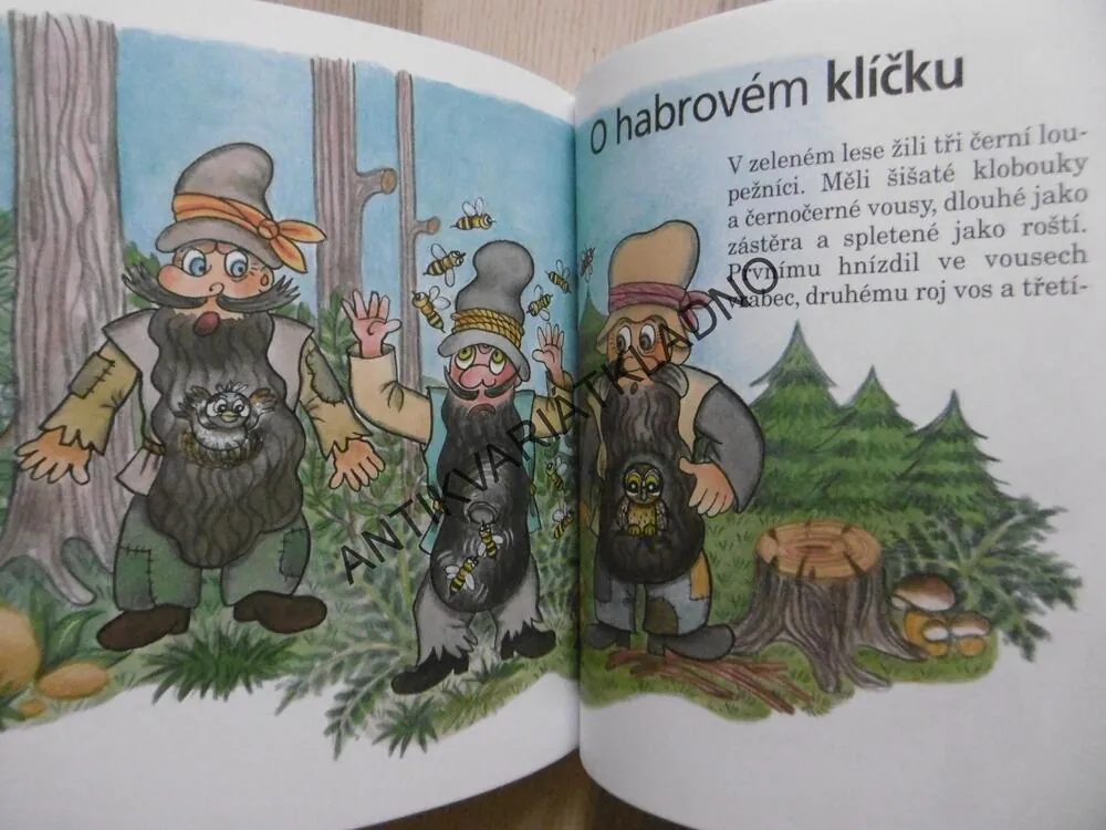KOTĚ Z KOCOURKOVA, VÁCLAV ČTVRTEK, WALTEROVÁ,**an