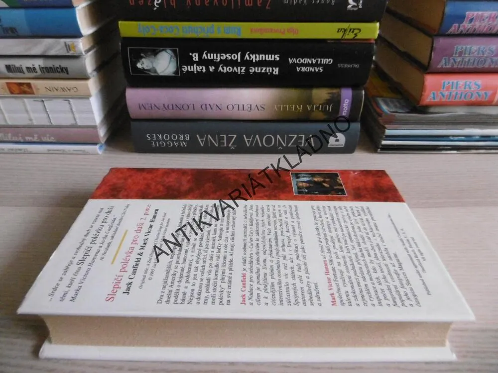 SLEPIČÍ POLÉVKA PRO DUŠI 2.PORCE, CANFIELD, **an