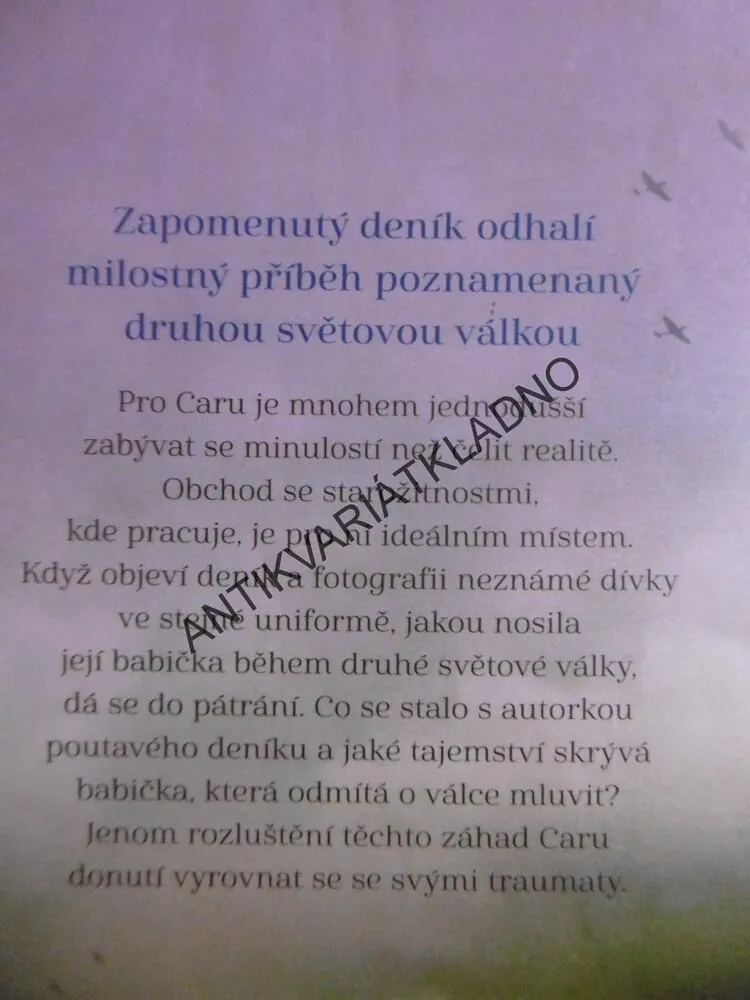 SVĚTLO NAD LONDÝNEM, JULIA KELLY, **an
