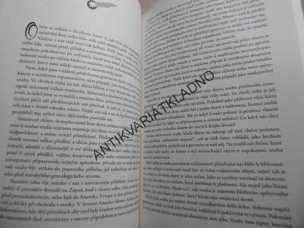PŘINÁLEŽENÍ, TOKO-PA TURNER, **an