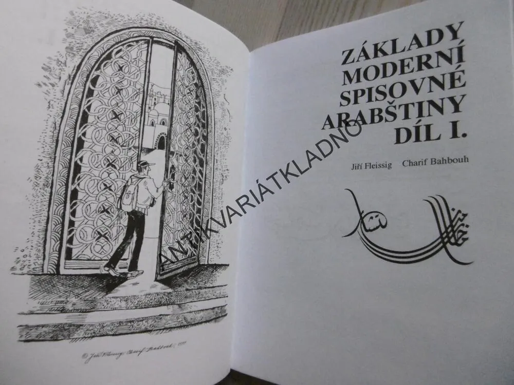 ZÁKLADY MODERNÍ SPISOVNÉ ARABŠTINY 1., FLEISSIG, CHARIF BAHBOUH, **an